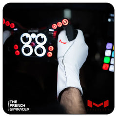 Aura Pro Arctic Gloves by Moradness - The French Simracer