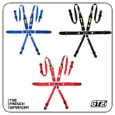 GT2i Race 6-Point Harness FIA 8853-16 - The French Simracer