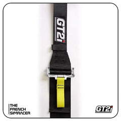GT2i Race 6-Point Harness FIA 8853-16 - The French Simracer