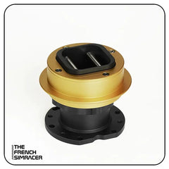 LeoXZ QR2 - The French Simracer