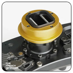 LeoXZ QR2 - The French Simracer