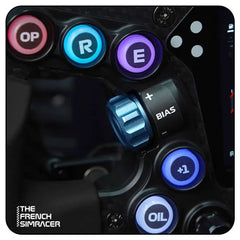 LeoXZ - XGT Metal Kit - The French Simracer