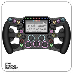 LeoXZ XGT Ultimate Wheel - The French Simracer