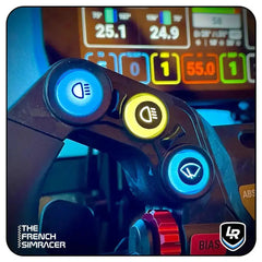 Lovely Sim Racing Simagic GT Neo Sticker Bundle - The French Simracer