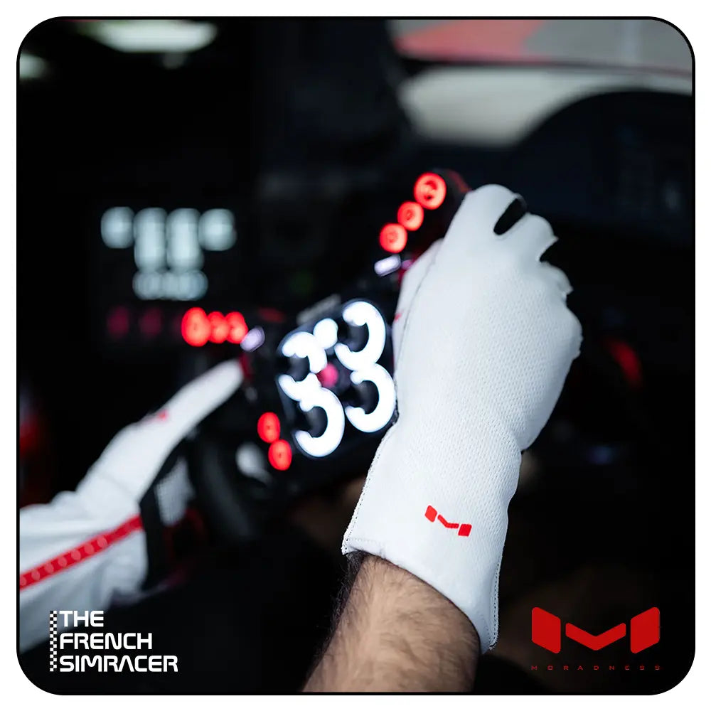 Aura Pro Arctic Gloves by Moradness - The French Simracer
