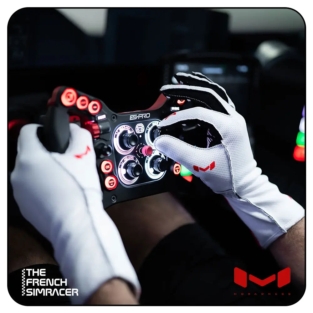 Aura Pro Arctic Gloves by Moradness - The French Simracer