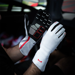 Aura Pro Arctic Gloves by Moradness - The French Simracer