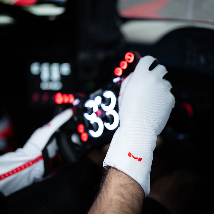 Aura Pro Arctic Gloves by Moradness - The French Simracer