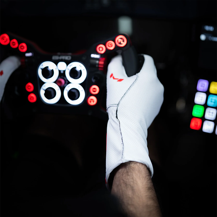 Aura Pro Arctic Gloves by Moradness - The French Simracer
