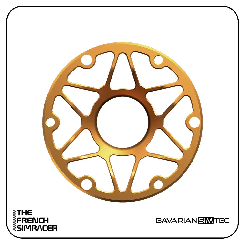 BavarianSimTec - Spacer - The French Simracer