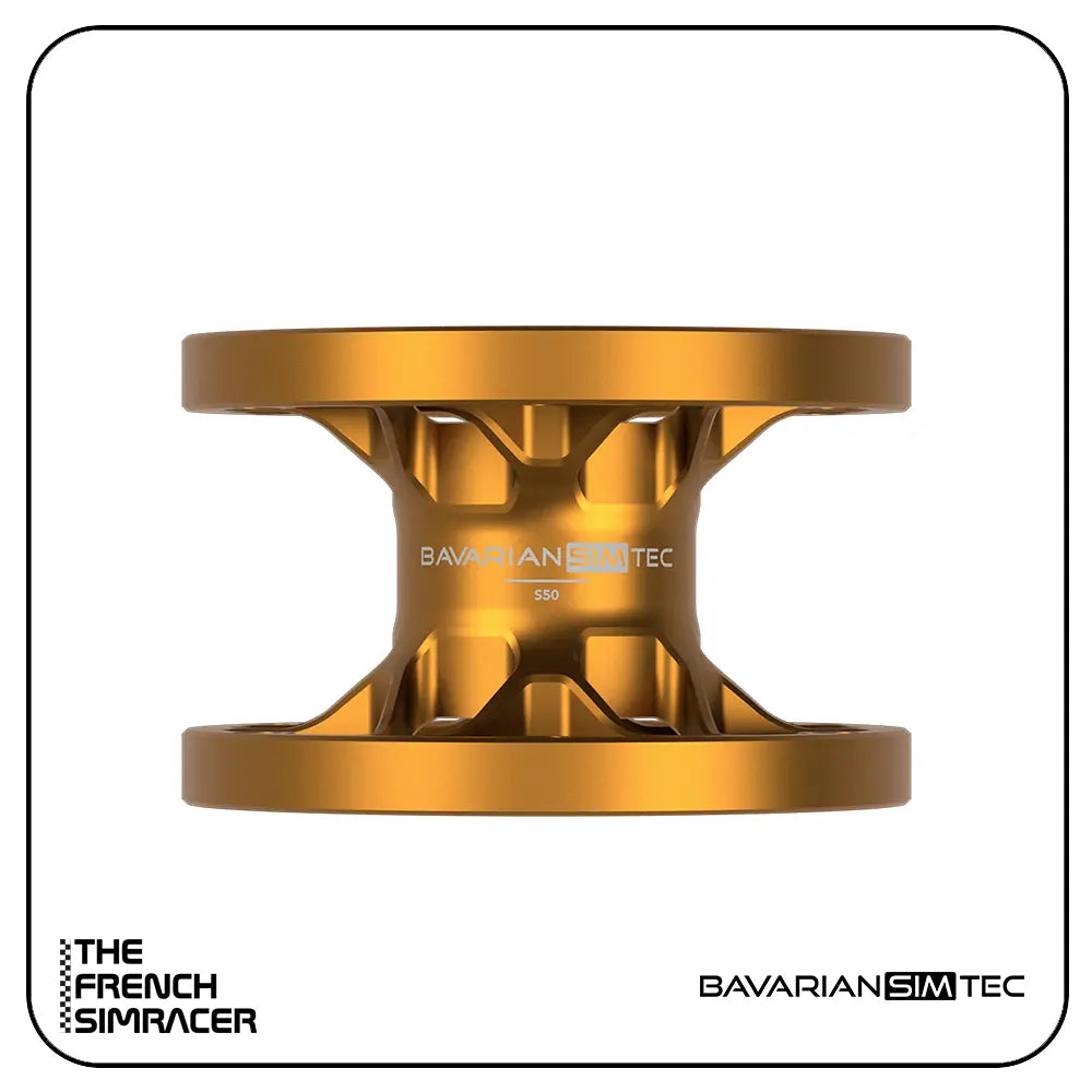 BavarianSimTec - Spacer - The French Simracer