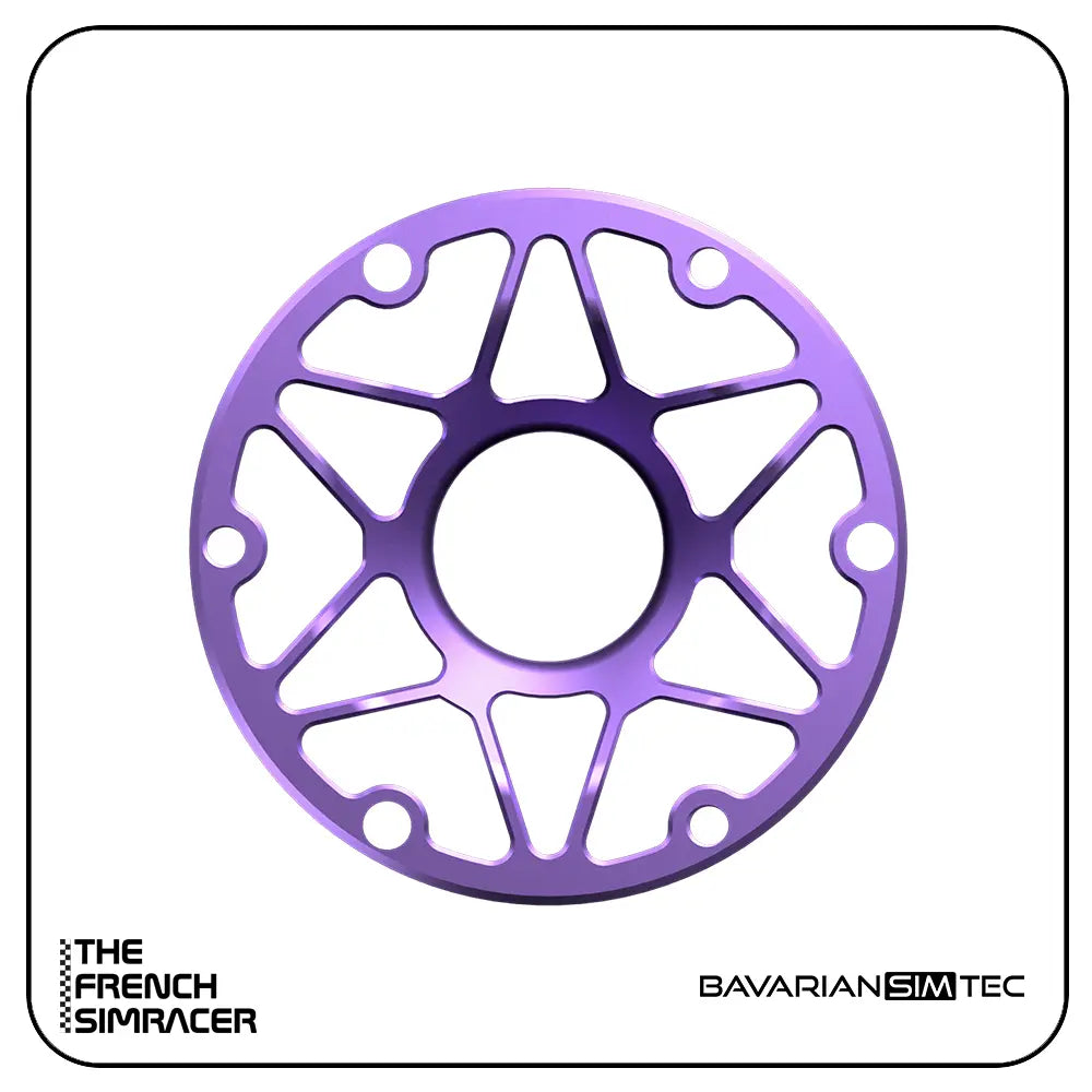 BavarianSimTec - Spacer - The French Simracer