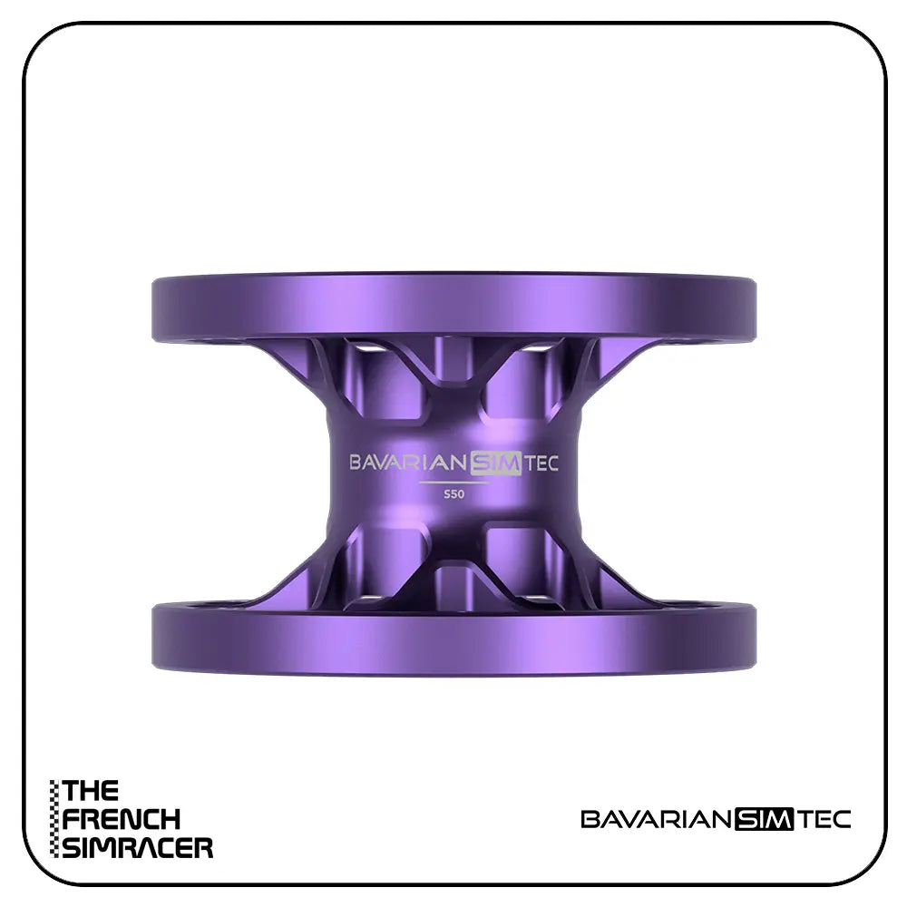 BavarianSimTec - Spacer - The French Simracer