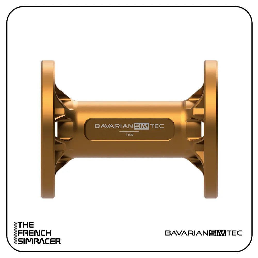 BavarianSimTec - Spacer - The French Simracer