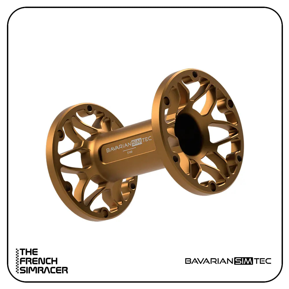 BavarianSimTec - Spacer - The French Simracer