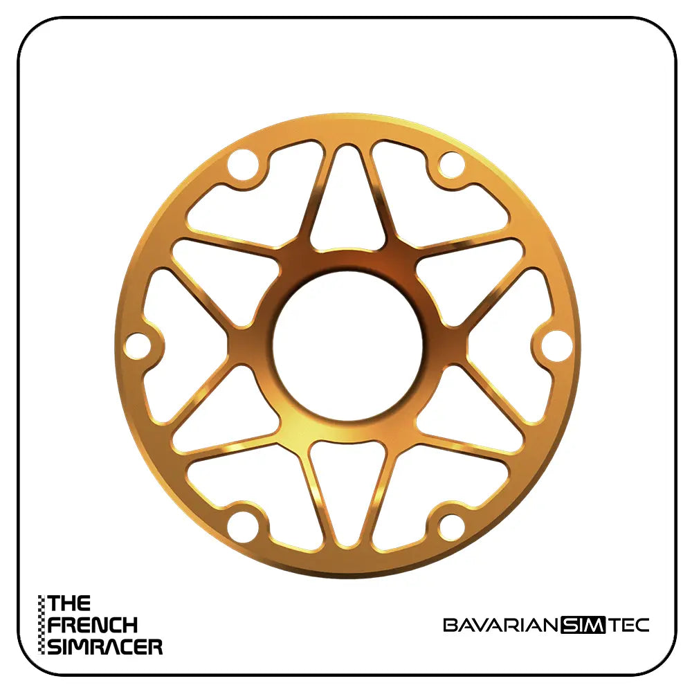 BavarianSimTec - Spacer - The French Simracer