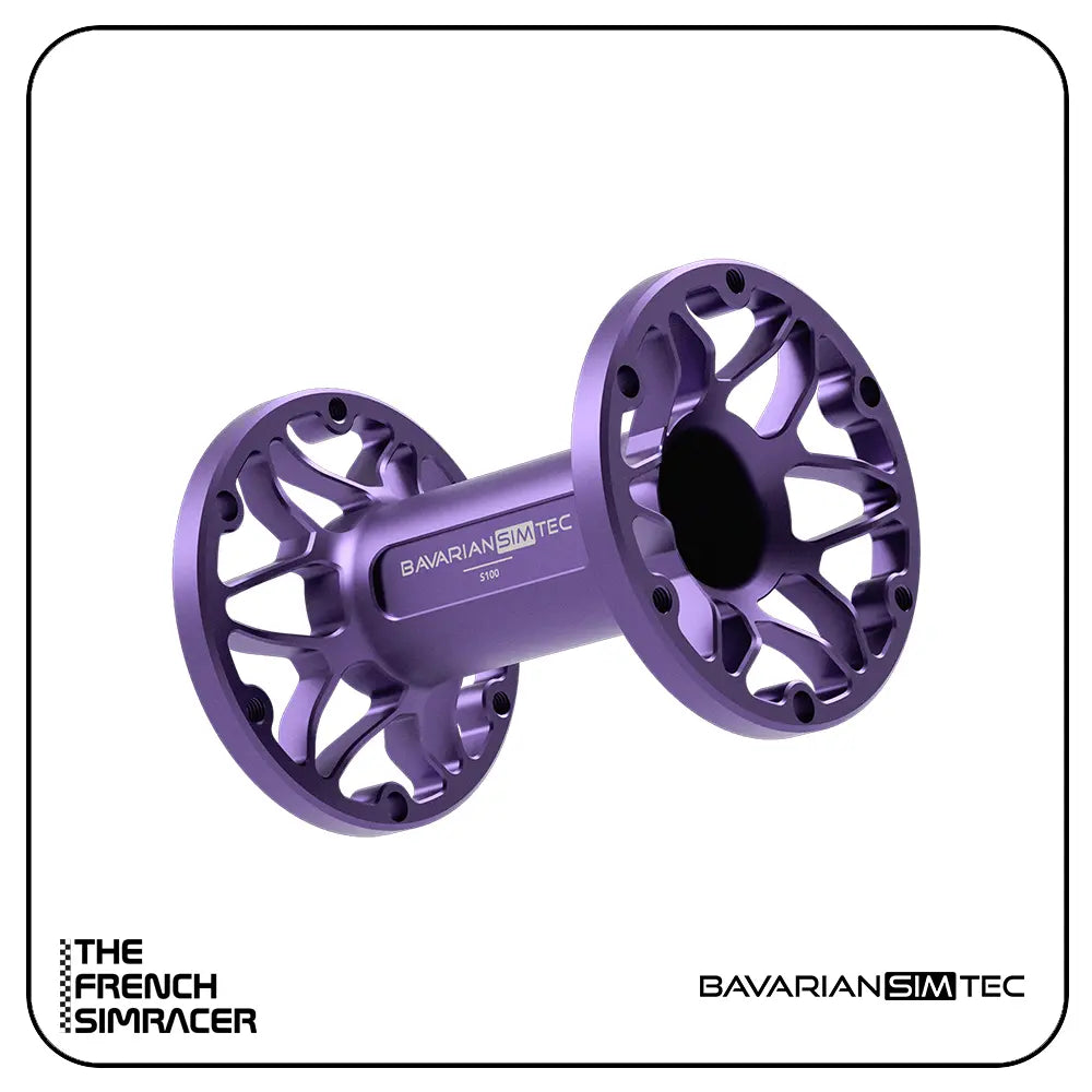 BavarianSimTec - Spacer - The French Simracer