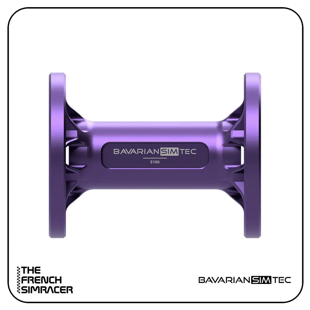 BavarianSimTec - Spacer - The French Simracer
