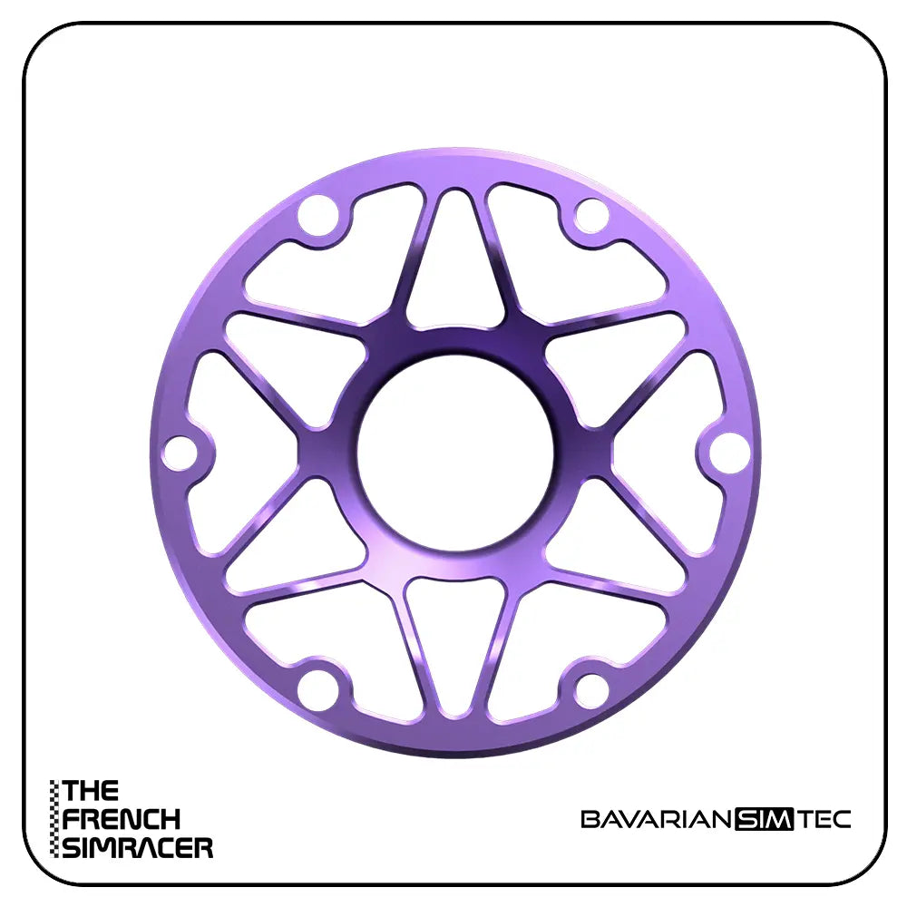 BavarianSimTec - Spacer - The French Simracer