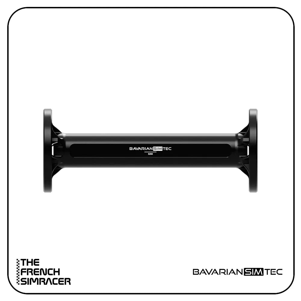 BavarianSimTec - Spacer - The French Simracer