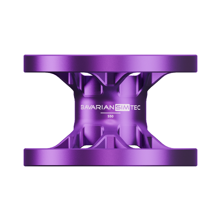 BavarianSimTec Spacer - The French Simracer