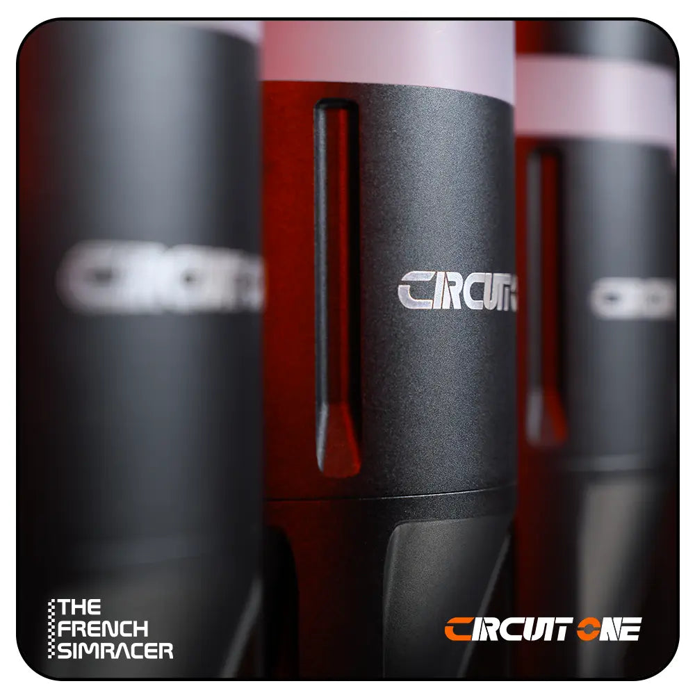 Circuit One D Force 1 - The French Simracer