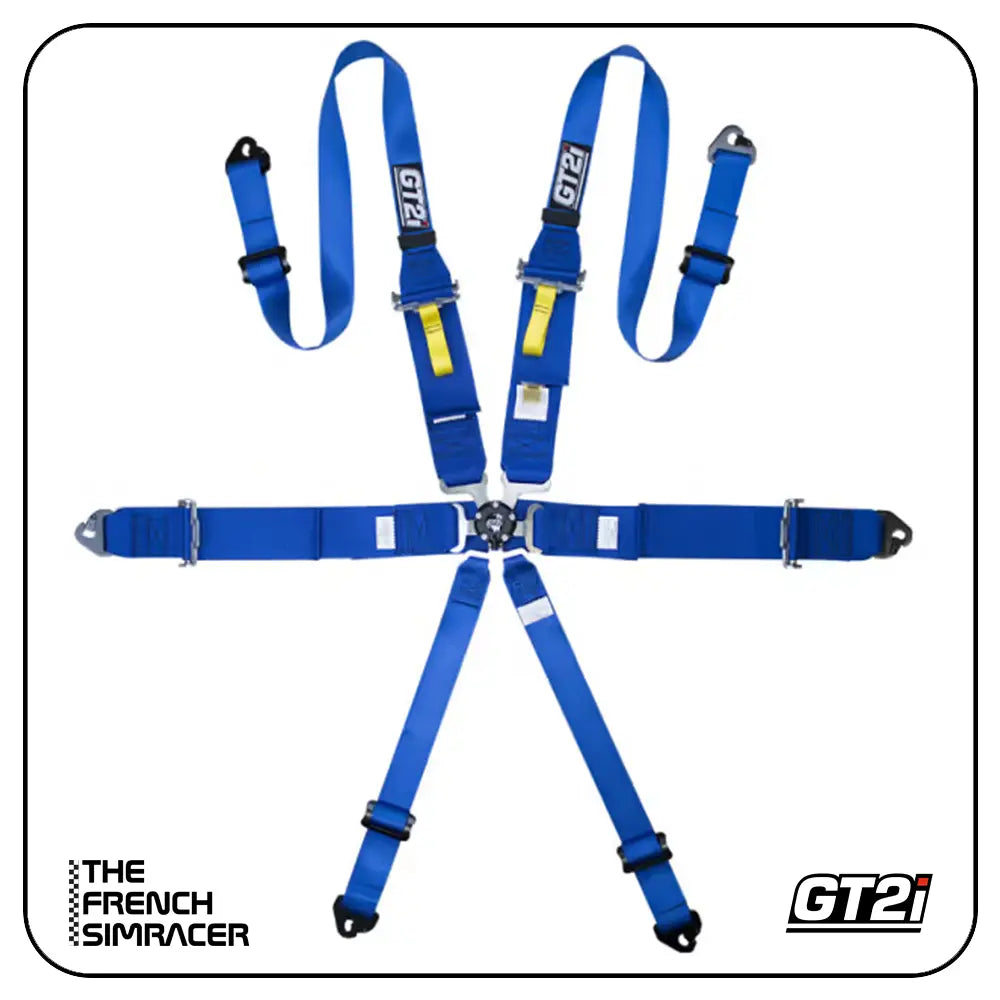 GT2i Race 6-Point Harness FIA 8853-16 - The French Simracer