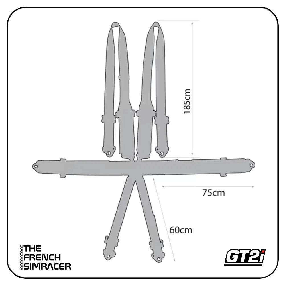 GT2i Race 6-Point Harness FIA 8853-16 - The French Simracer