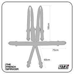 GT2i Race 6-Point Harness FIA 8853-16 - The French Simracer