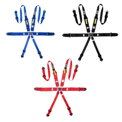 GT2i Race 6-Point Harness FIA 8853-16 - The French Simracer