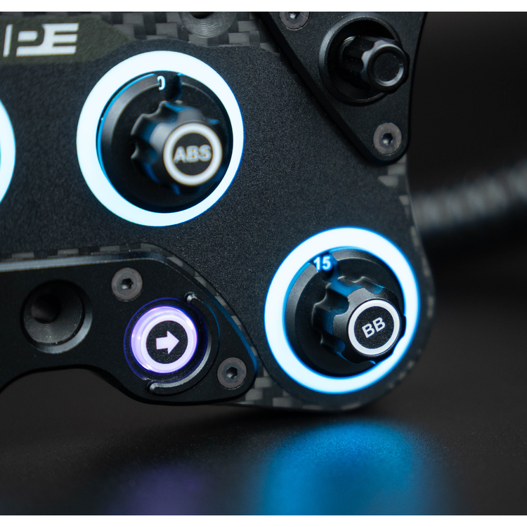 GTB Pro Button Plate – Pokornyi Engineering - The French Simracer