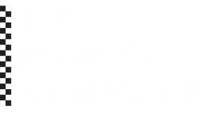 The French Simracer