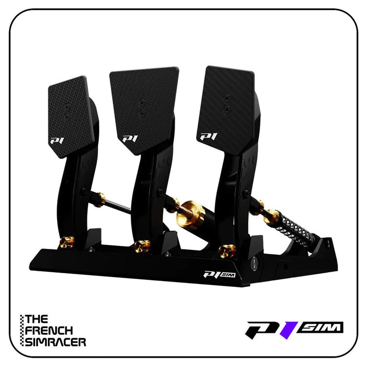 P1Sim Mistral - The French Simracer
