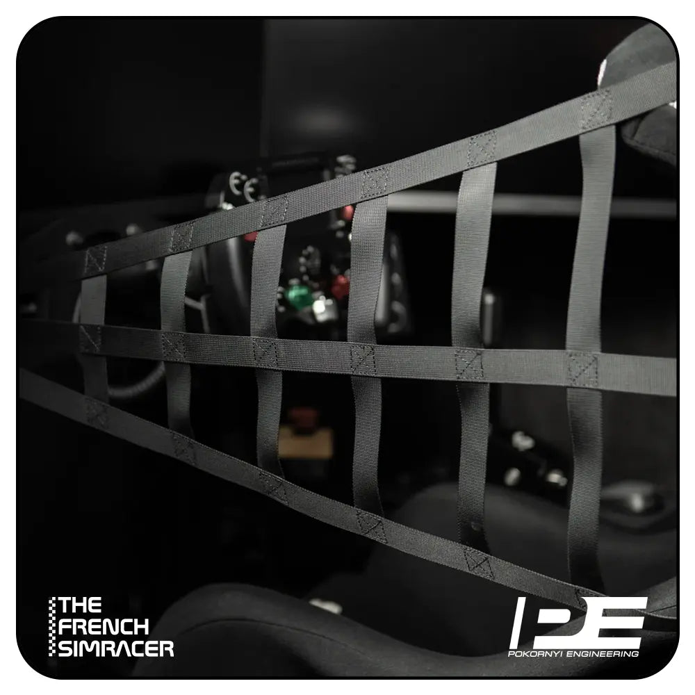 Pokornyi Safety Net - The French Simracer