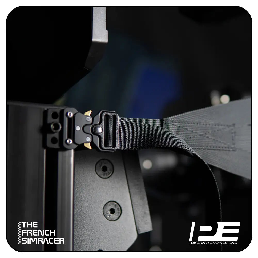 Pokornyi Safety Net - The French Simracer