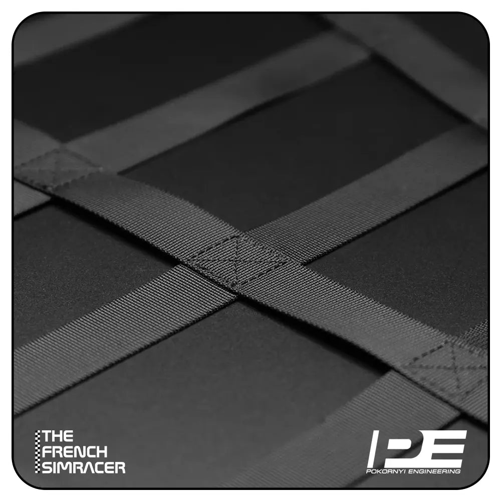 Pokornyi Safety Net - The French Simracer