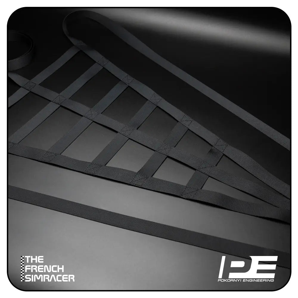 Pokornyi Safety Net - The French Simracer
