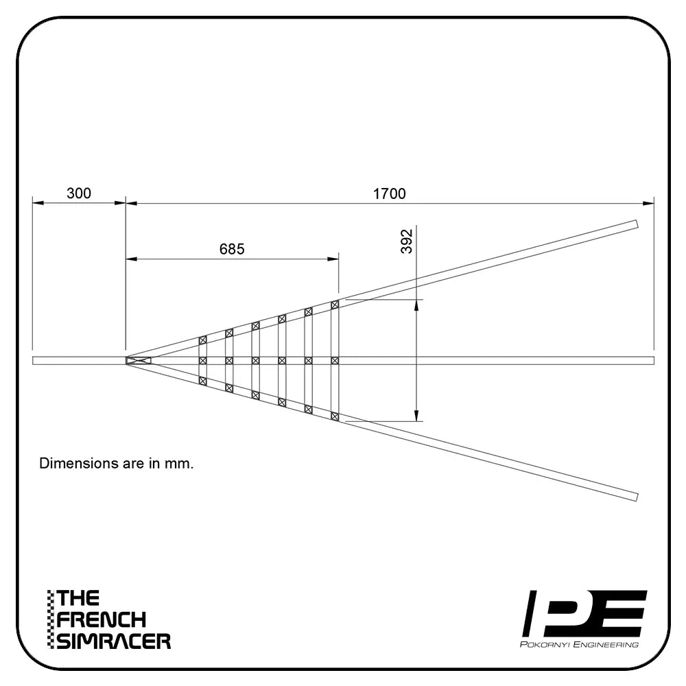 Pokornyi Safety Net - The French Simracer