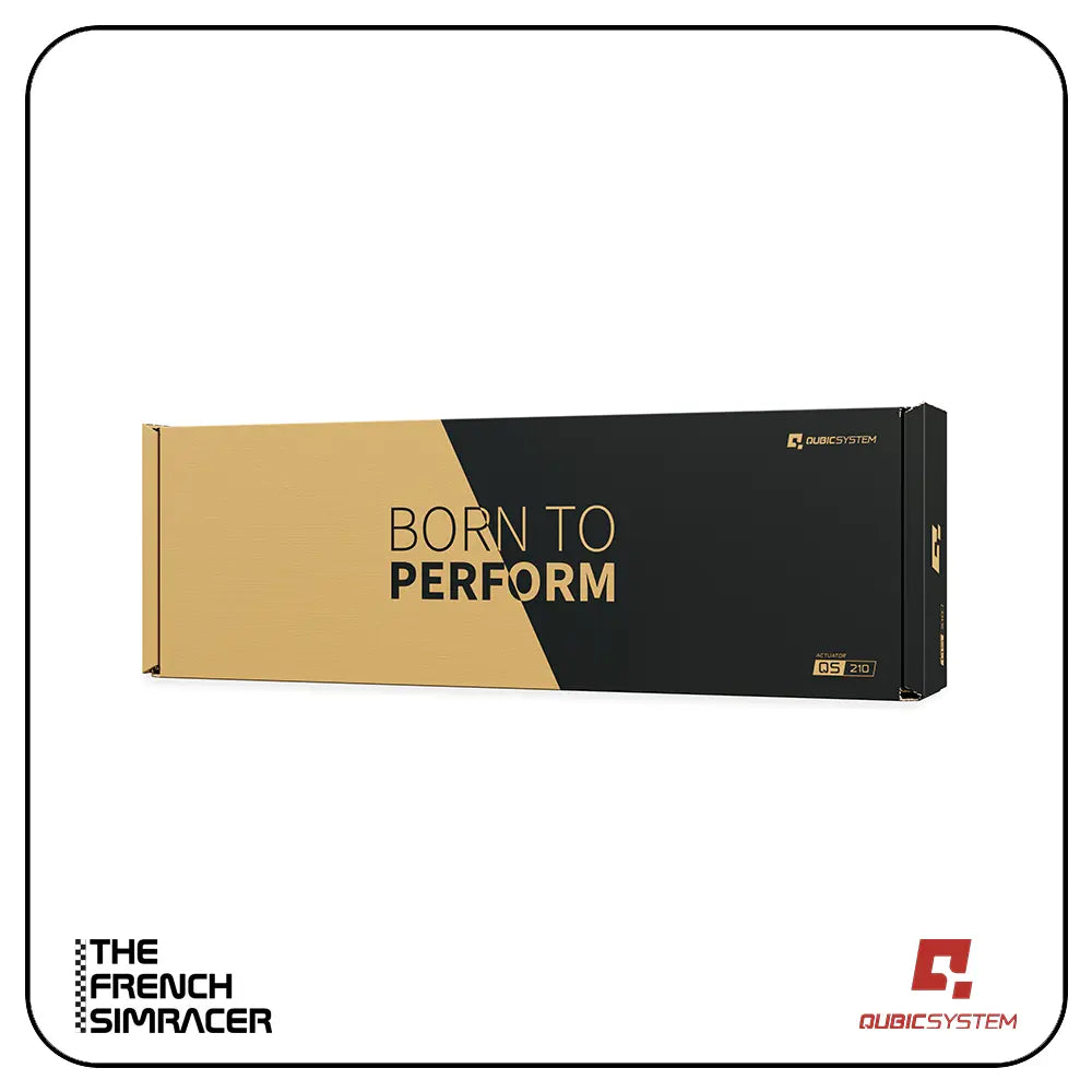 Qubic System QS-210 – Motion System - The French Simracer