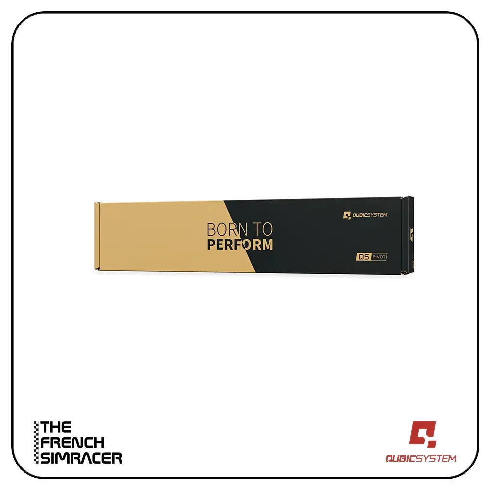 Qubic System QS-210 – Motion System - The French Simracer