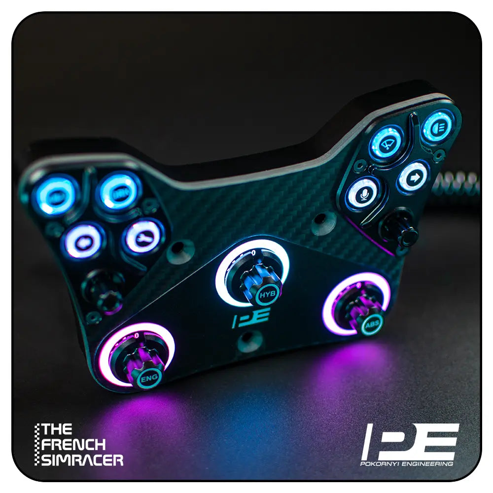 Rally Button Plate - Pokornyi Engineering - The French Simracer