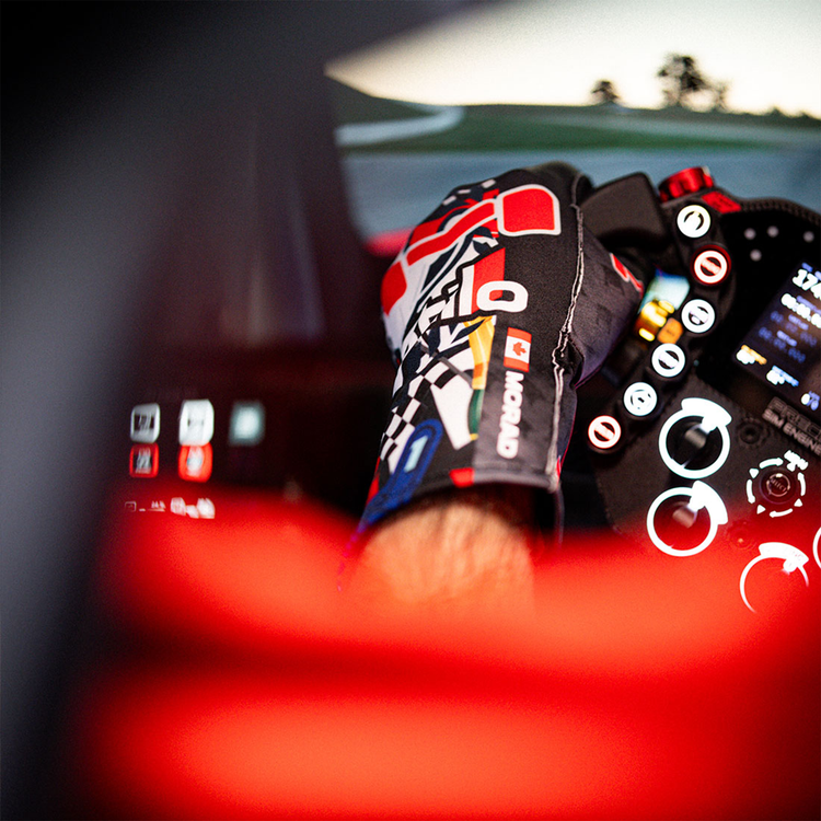 Stickered Up Gloves by Moradness - The French Simracer