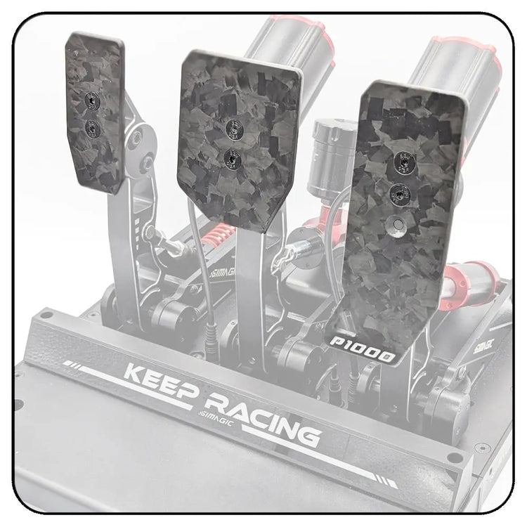 TFS Orginals - Kit Plaques Carbone P1000 - The French Simracer