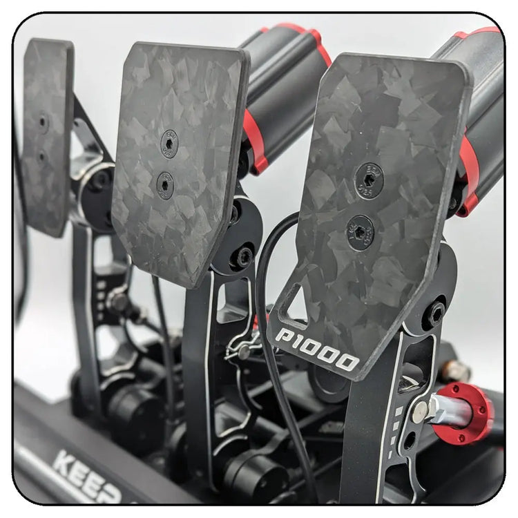 TFS Orginals - Kit Plaques Carbone P1000 - The French Simracer
