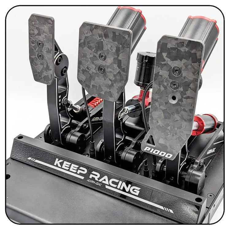 TFS Orginals - Kit Plaques Carbone P1000 - The French Simracer