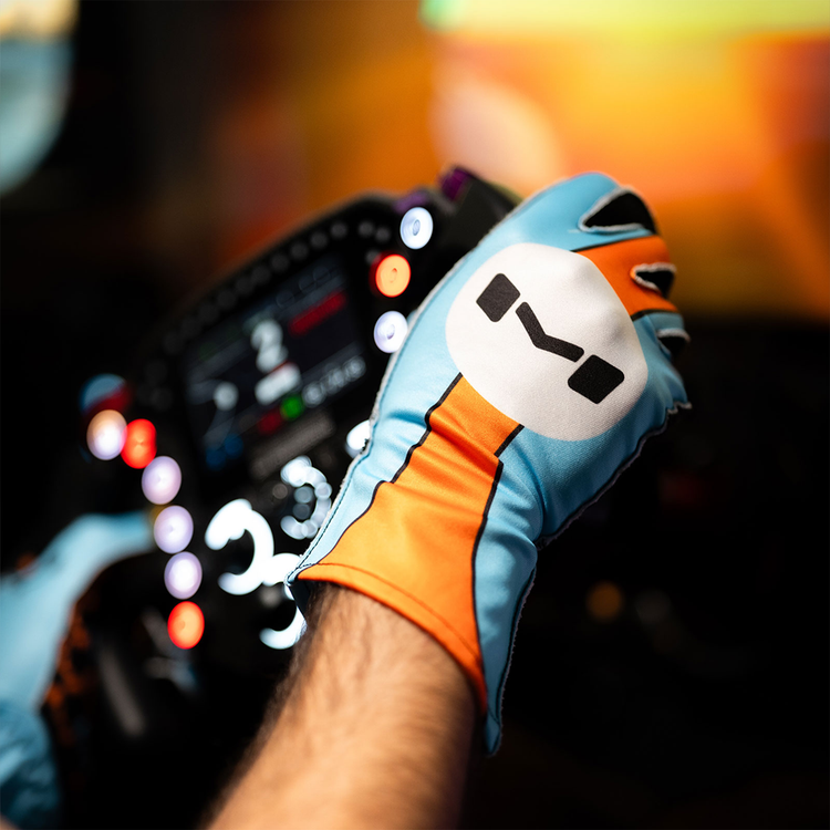 The Icon Gloves by Moradness - The French Simracer