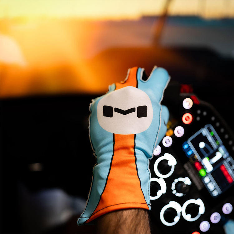 The Icon Gloves by Moradness - The French Simracer