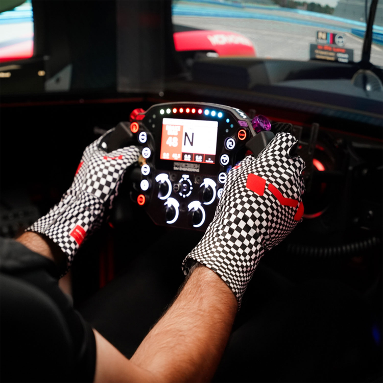 Winning Illusion Gloves by Moradness - The French Simracer